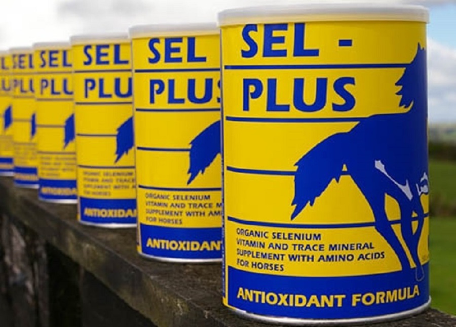 Sel-Plus Feed Supplement image 0